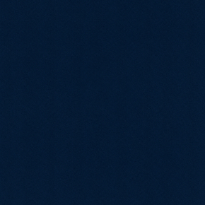 Ray Ink Fabric Sample