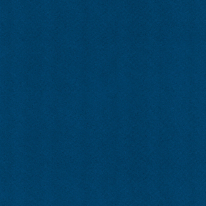 Ray Marine Fabric Sample