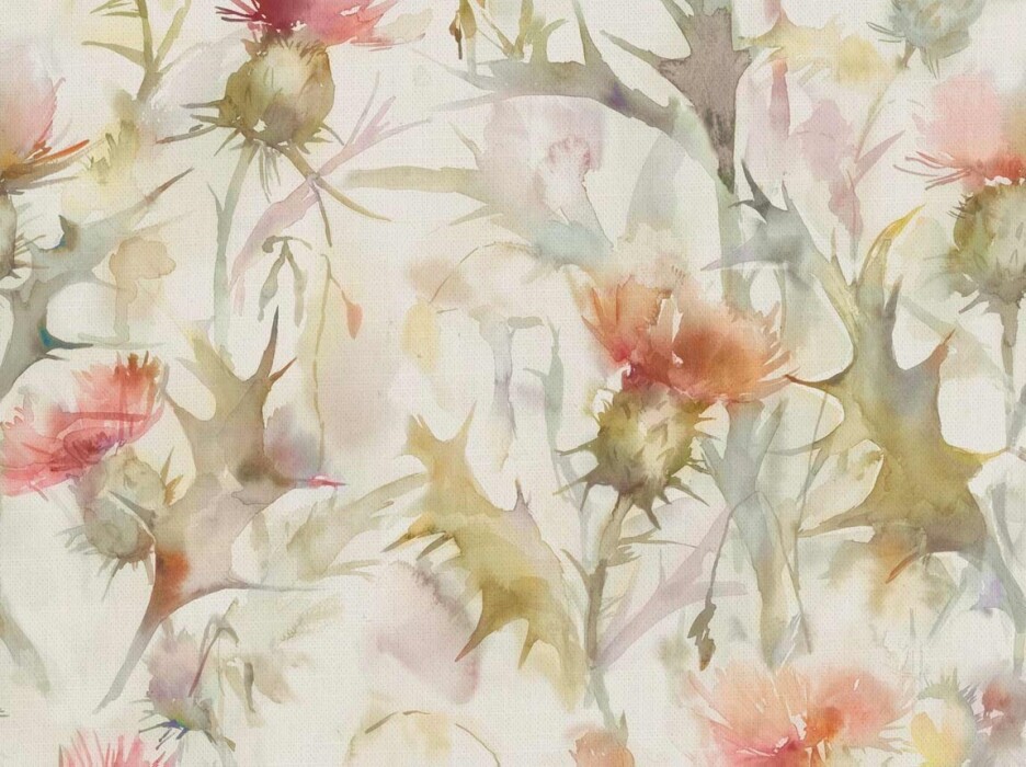 Image of cirsiun cream russet by Voyage