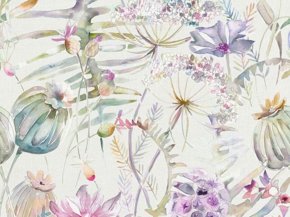 Image of edenmuir raspberry by Voyage