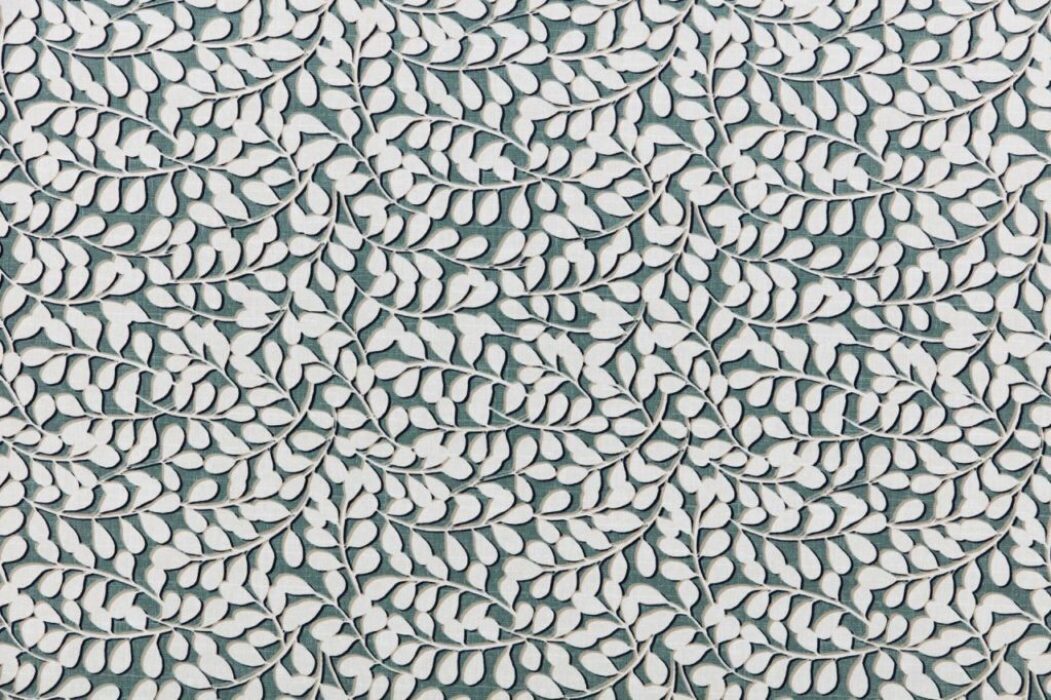 Image of elia olive by Ashley Wilde