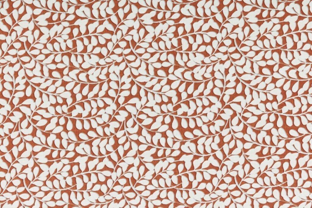 Image of elia terracotta by Ashley Wilde