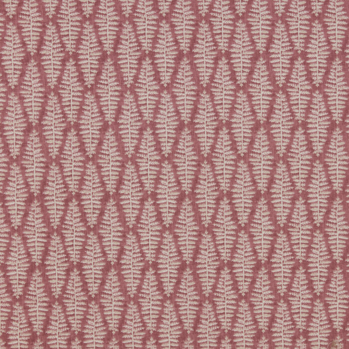 Image of Fernia rosa by iLiv