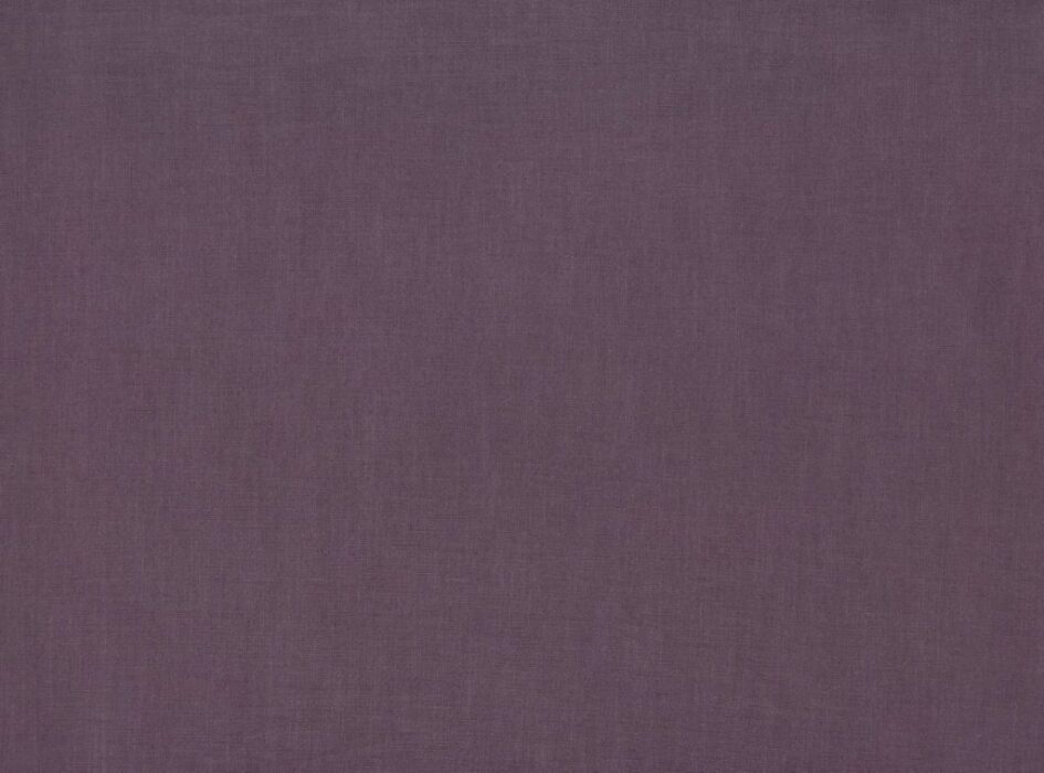 Image of Florenzo aubergine by Ashley Wilde