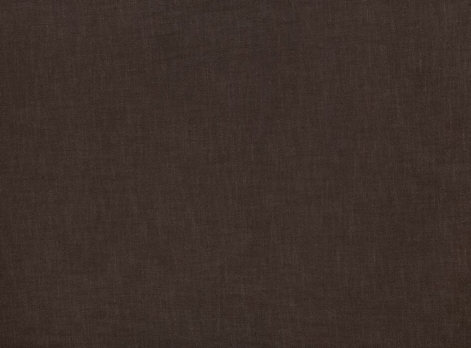 Image of Florenzo bark by Ashley Wilde