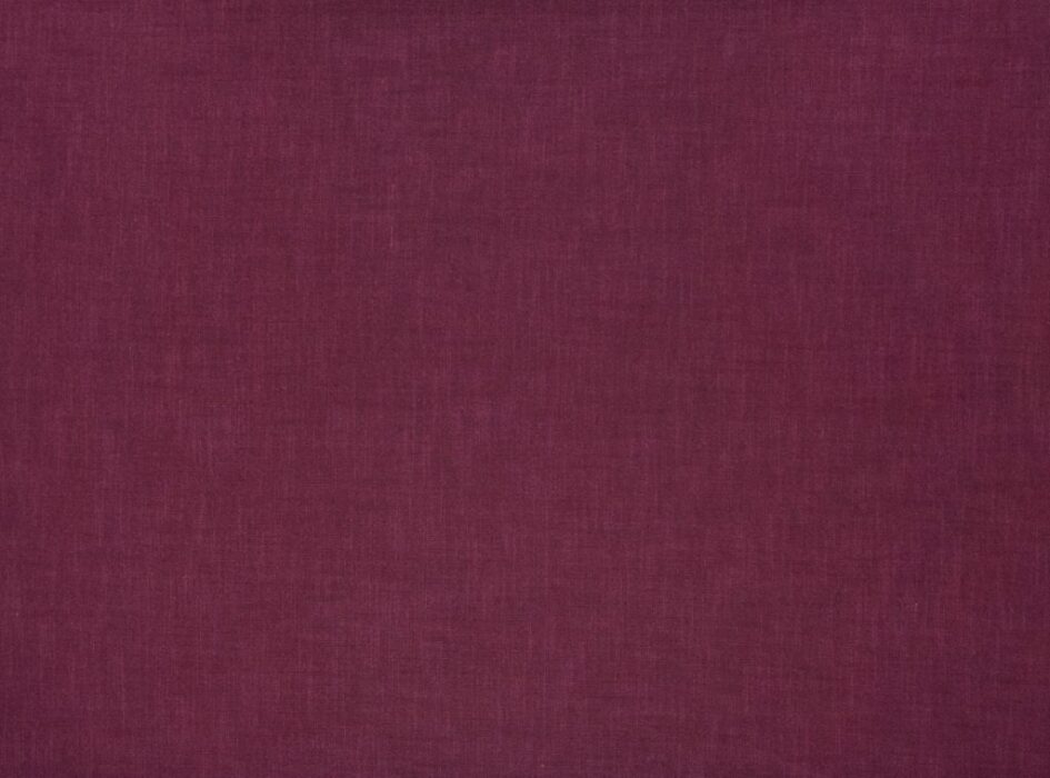 Image of Florenzo mulberry by Ashley Wilde