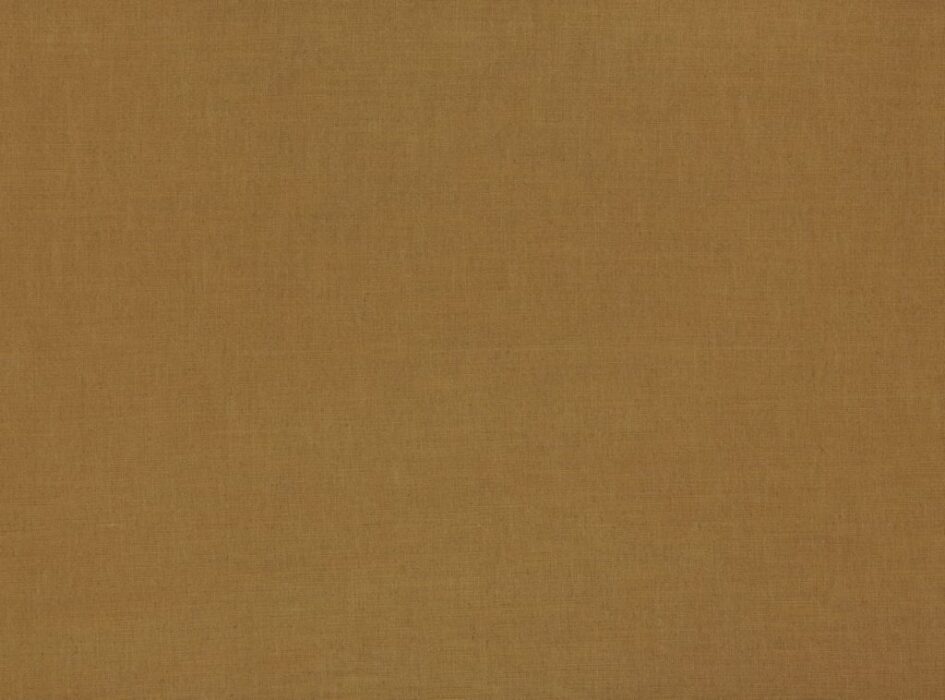 Image of Florenzo ochre by Ashley Wilde