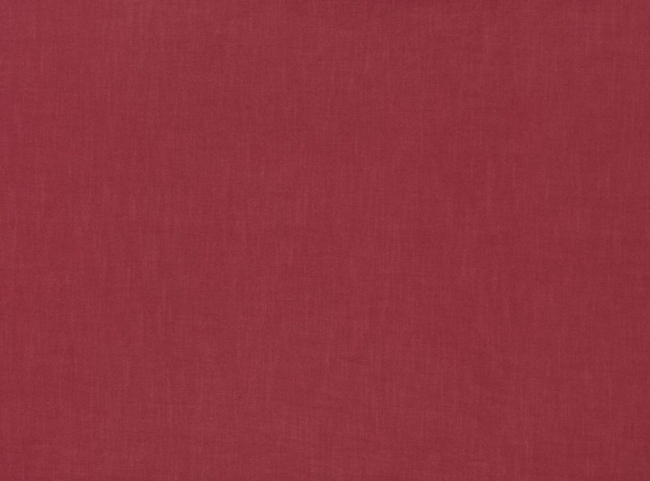 Image of Florenzo raspberry by Ashley Wilde