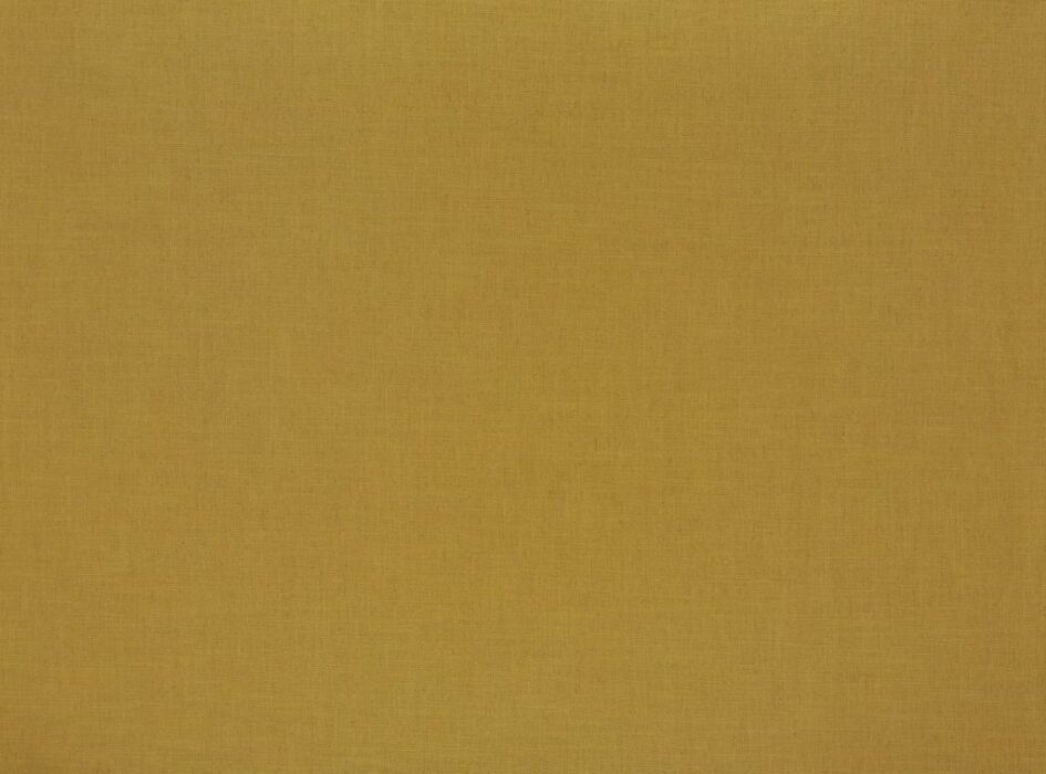 Image of Florenzo sunflower by Ashley Wilde