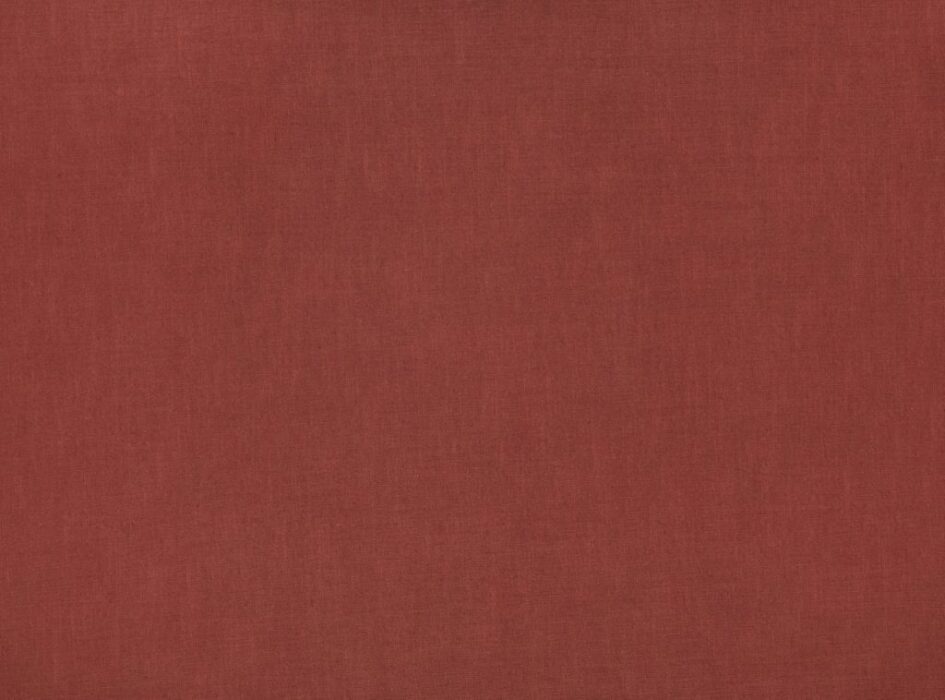 Image of Florenzo terracotta by Ashley Wilde