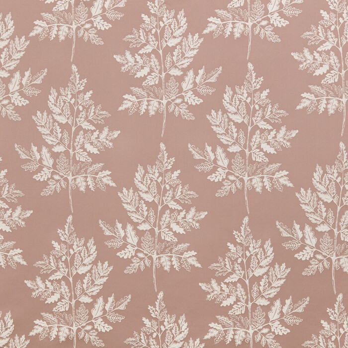 Image of haldon wildrose by iLiv