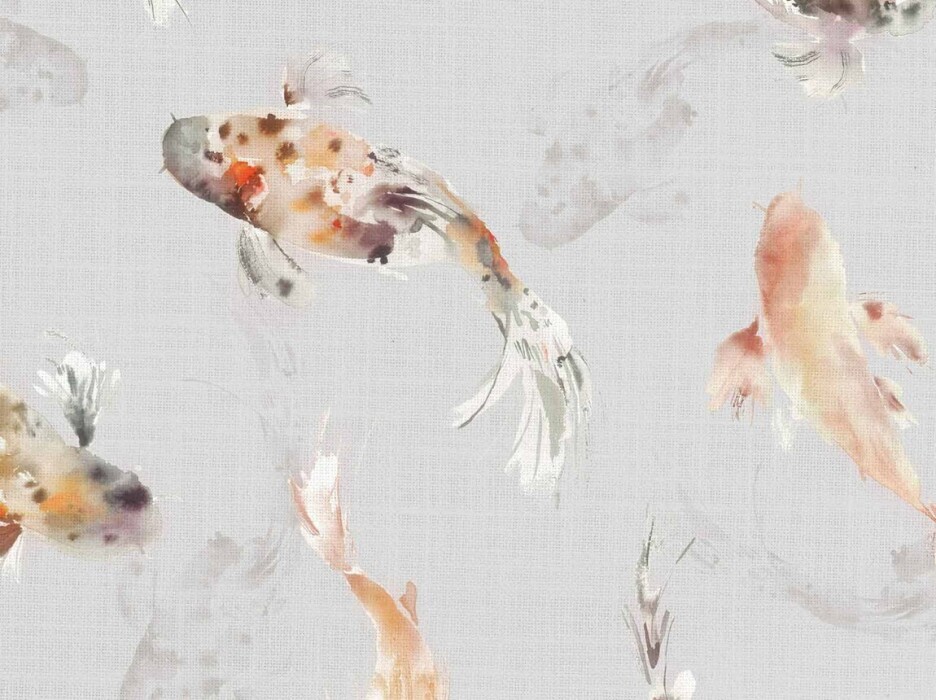 Image of koi carp amber by Voyage