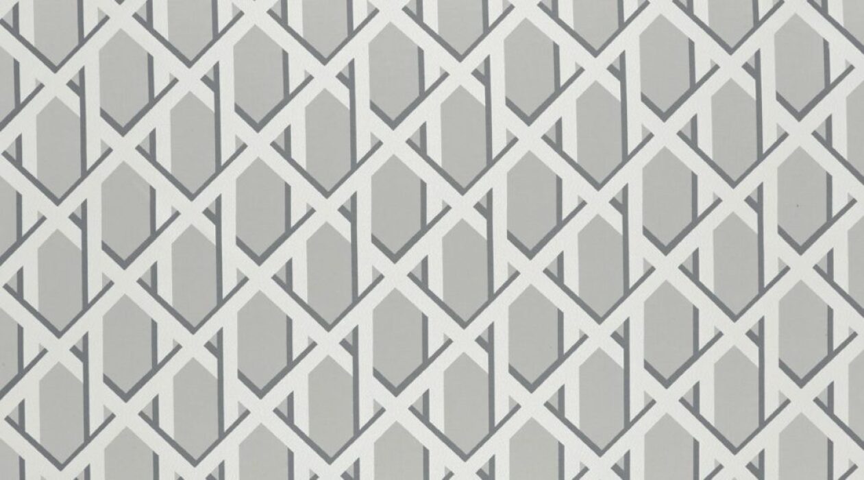 Image of lattice dove by Ashley Wilde