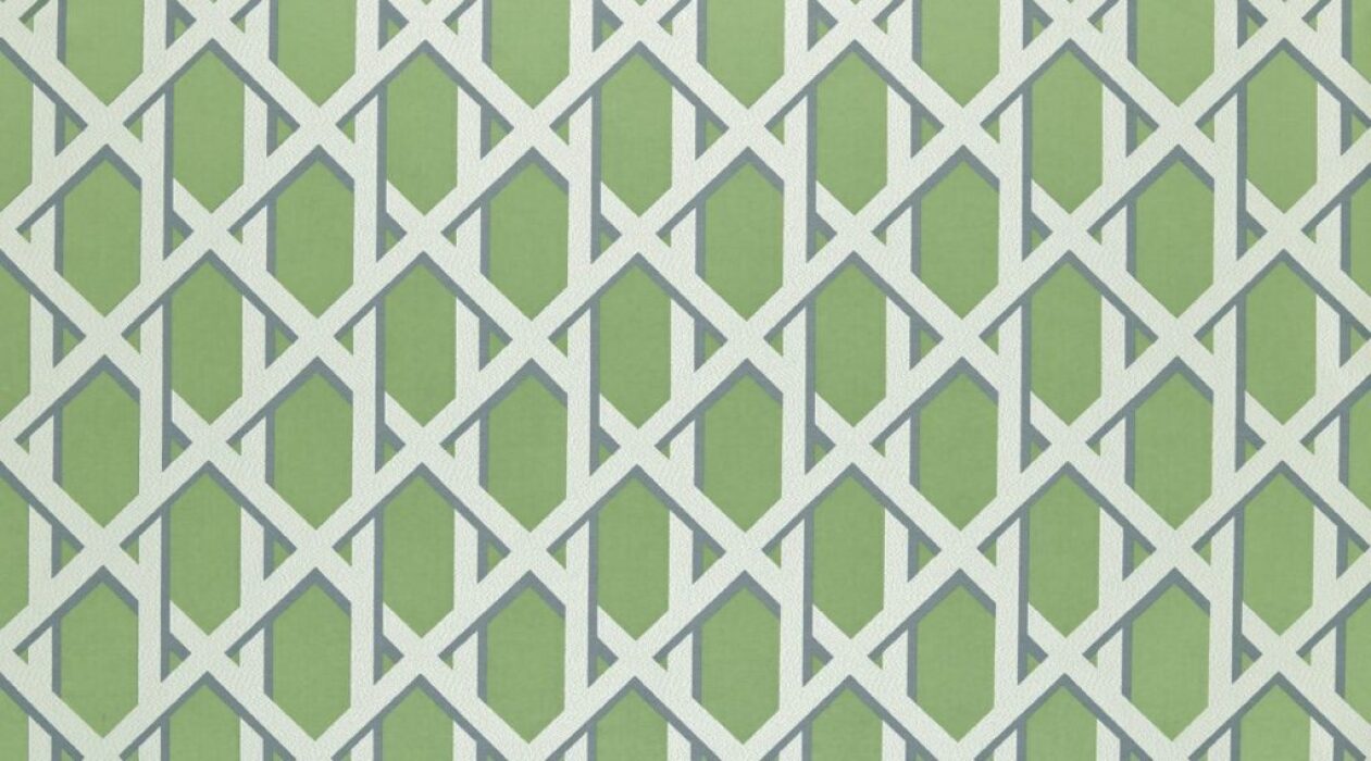 Image of lattice kiwi by Ashley Wilde