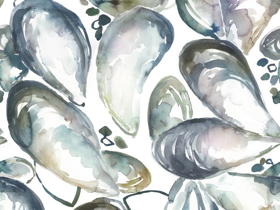 Image of mussel shells slate by Voyage