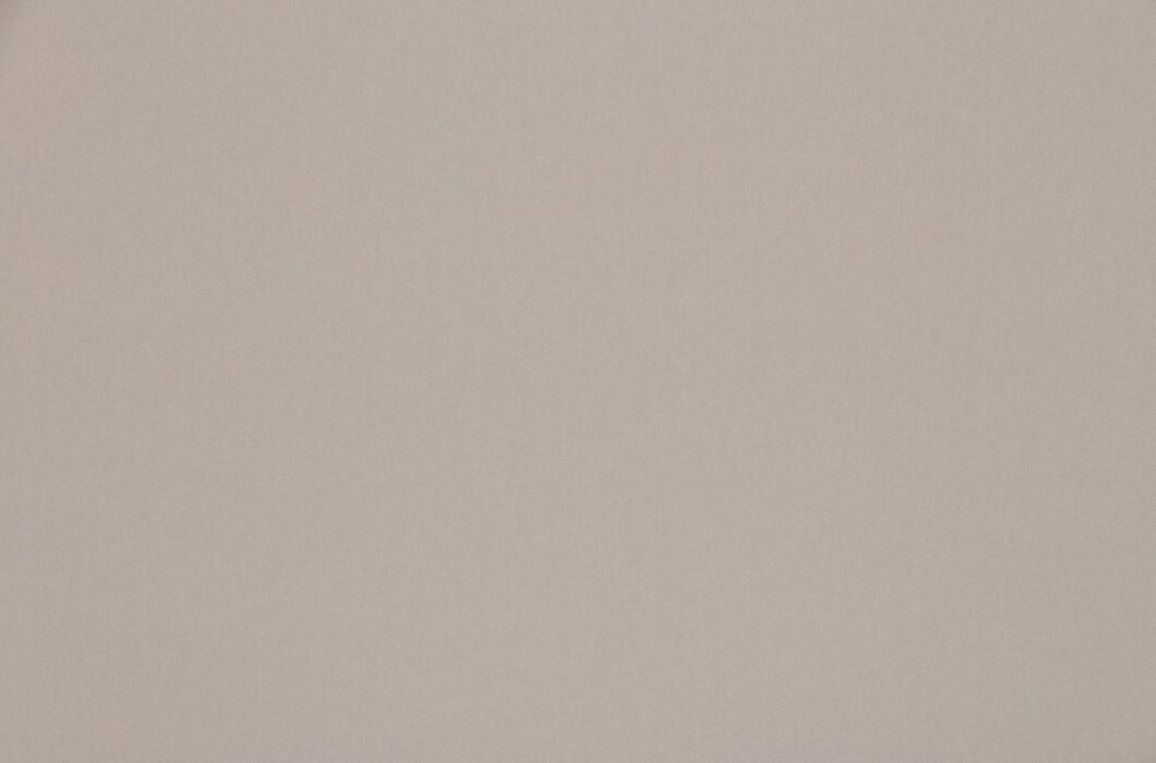 Image of omari birch by Ashley Wilde