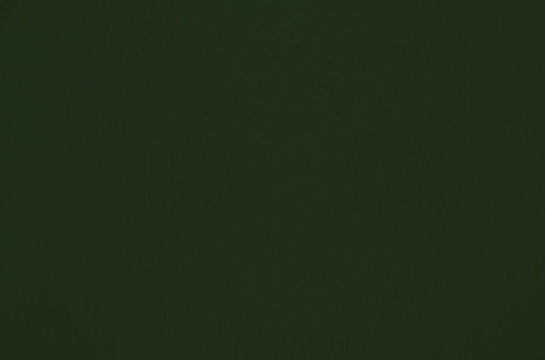 Image of omari forest by Ashley Wilde