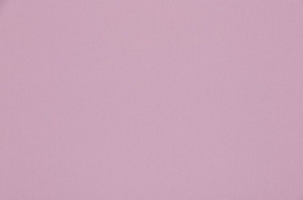 Image of omari orchid by Ashley Wilde