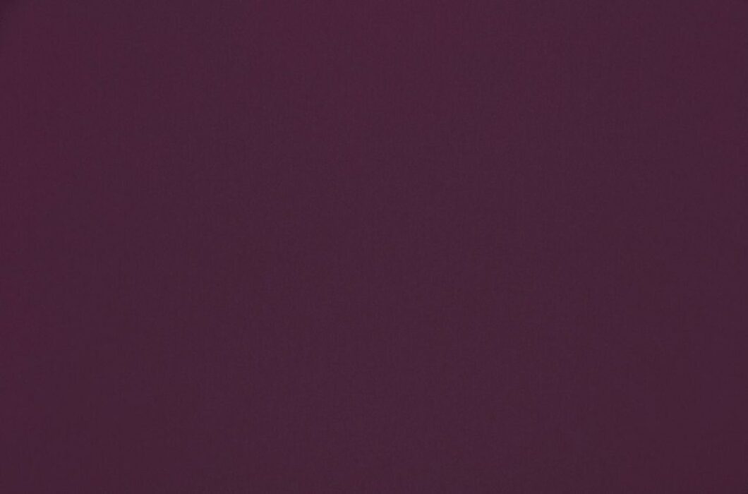 Image of omari pansy by Ashley Wilde