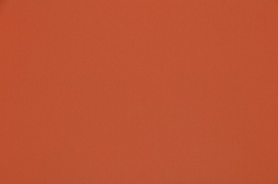 Image of omari rust by Ashley Wilde