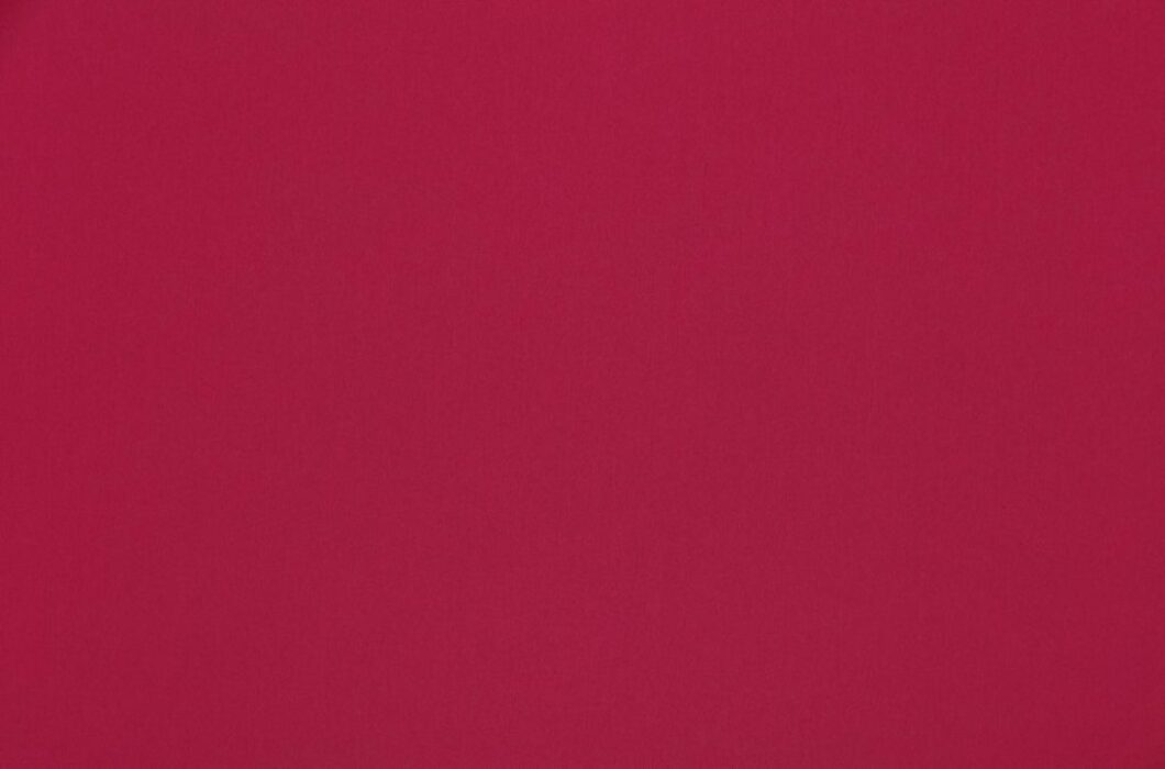 Image of omari scarlet by Ashley Wilde