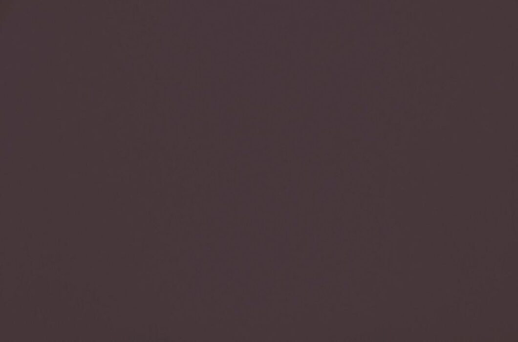 Image of omari thistle by Ashley Wilde