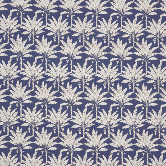 Image of Palm House moonlight by iLiv