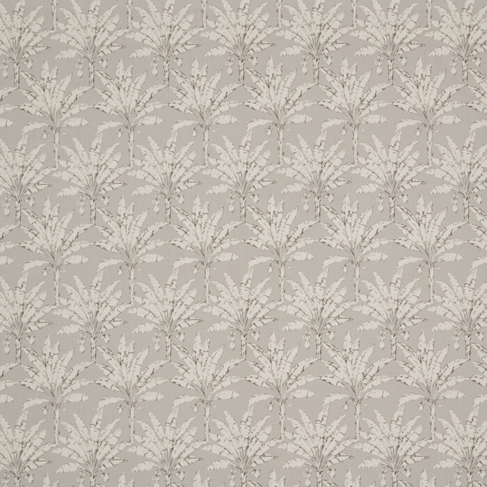 Image of Palm House putty by iLiv