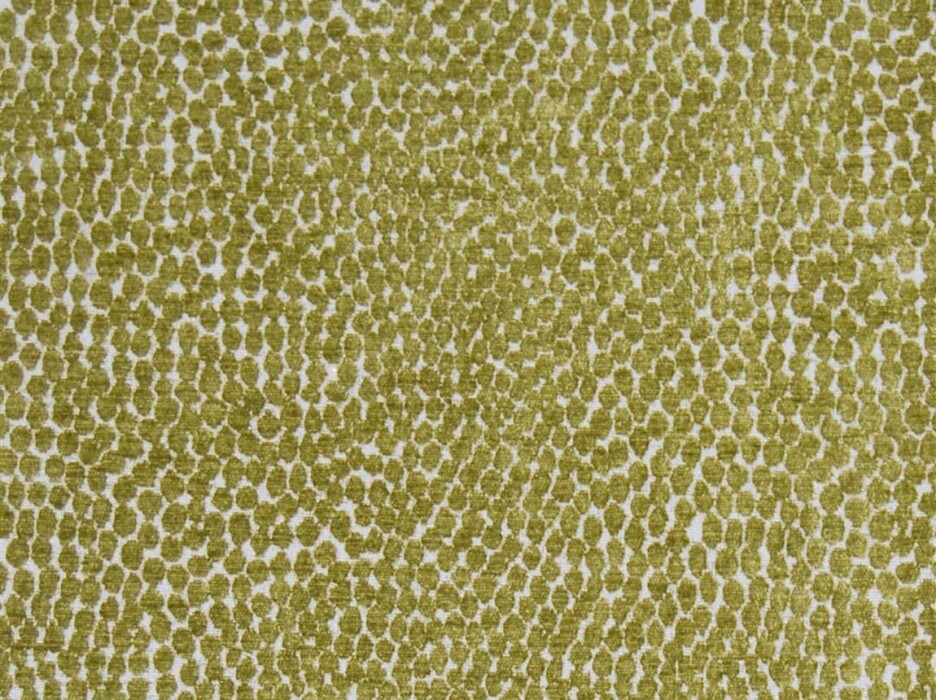 Image of pebble mustard by Voyage