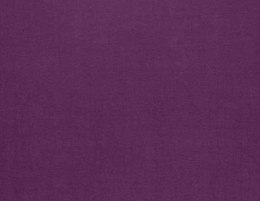 Image of Saluzzo berry by Ashley Wilde