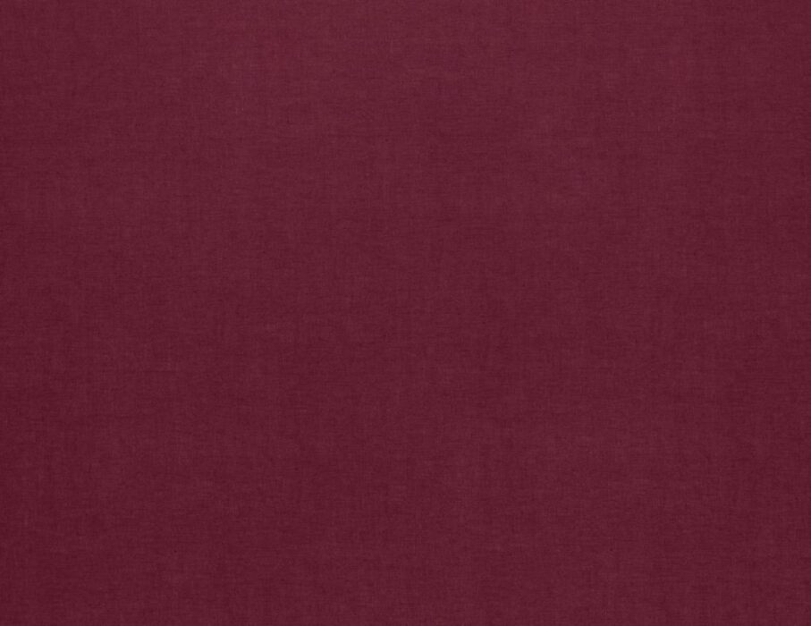 Image of Saluzzo fuschia by Ashley Wilde