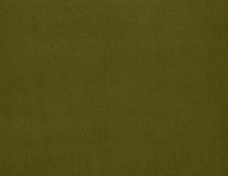 Image of Saluzzo moss by Ashley Wilde