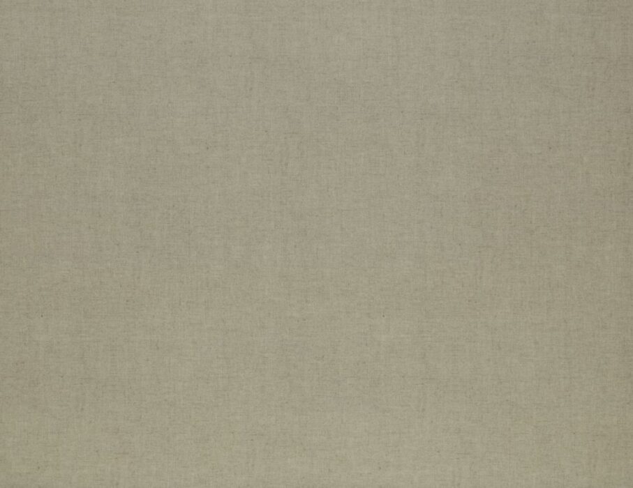 Image of Saluzzo oyster by Ashley Wilde