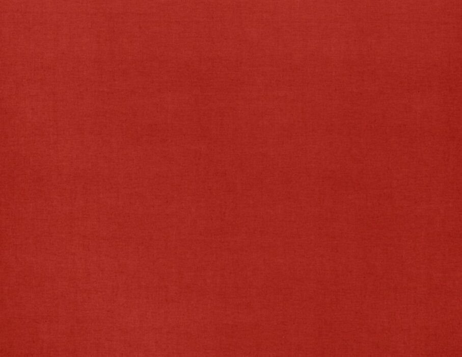 Image of Saluzzo pomegranate by Ashley Wilde