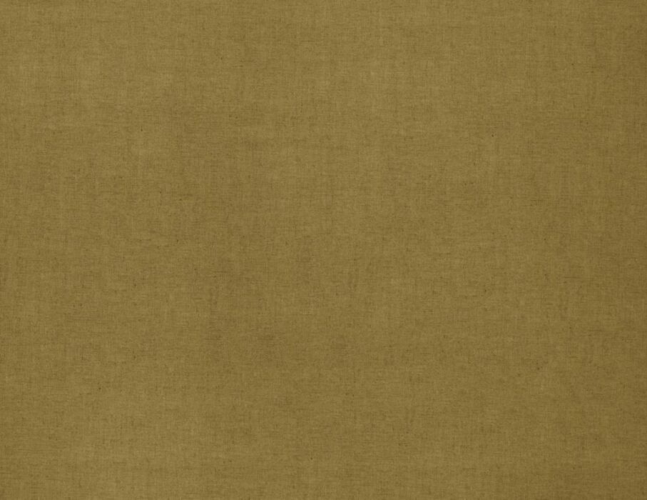 Image of Saluzzo sunflower by Ashley Wilde