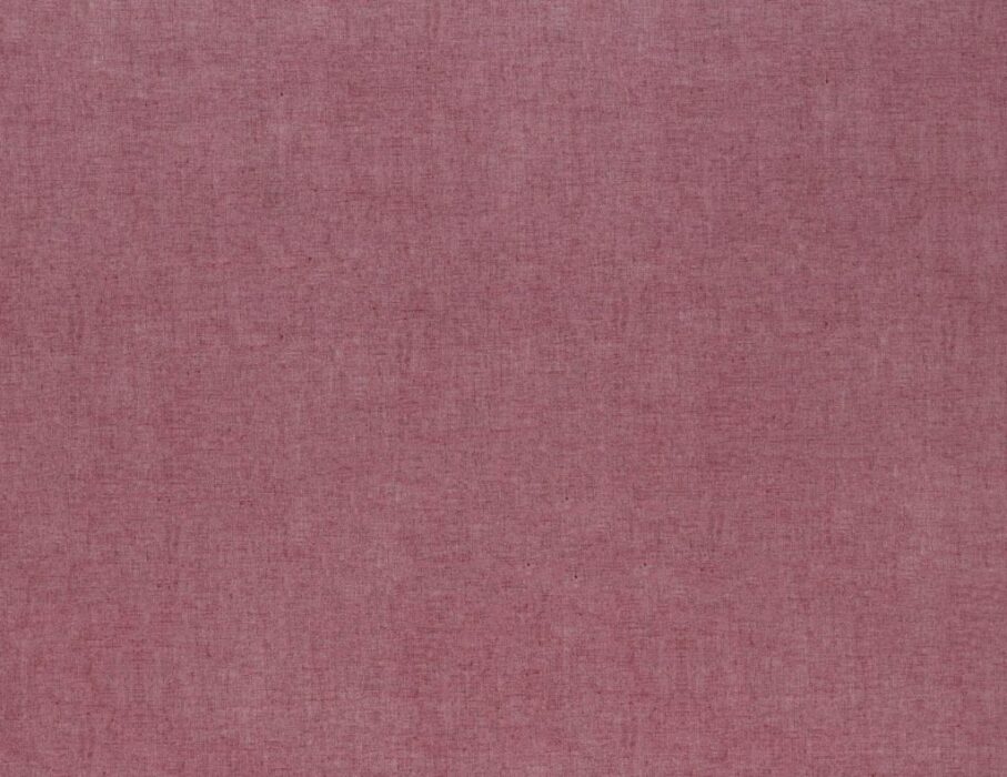 Image of Saluzzo sweet pea by Ashley Wilde