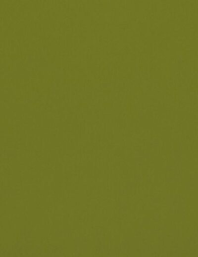 Omari Apple Fabric Omari Apple Fabric