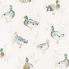 Image of Paddling Ducks Cream by Voyage