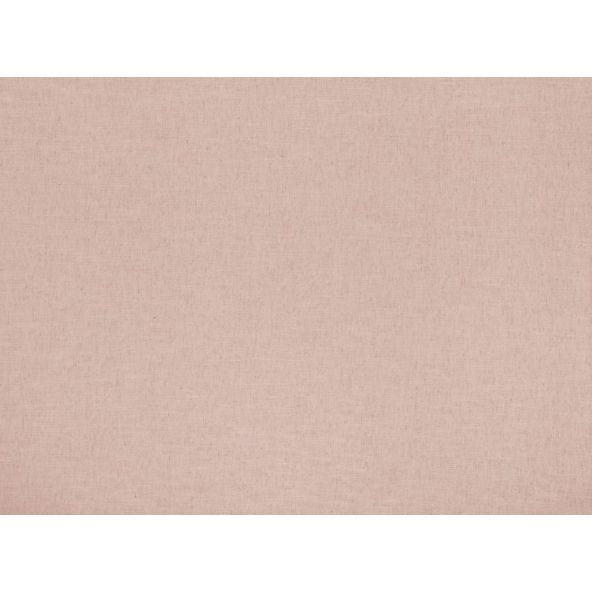 Image of Florenzo shell by Ashley Wilde