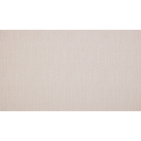 Image of Marsa shell by Ashley Wilde