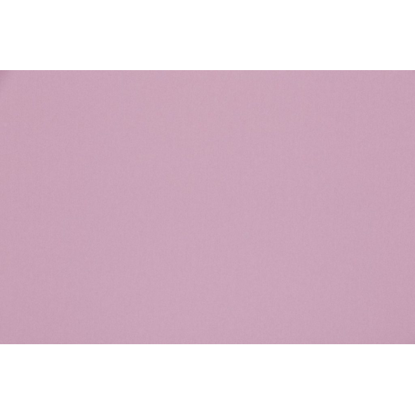 Image of omari orchid by Ashley Wilde