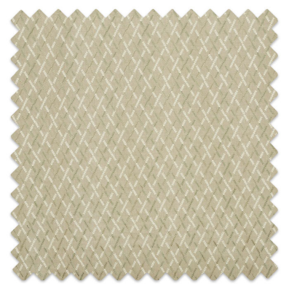 Swatch of Willow Basil by Prestigious Textiles