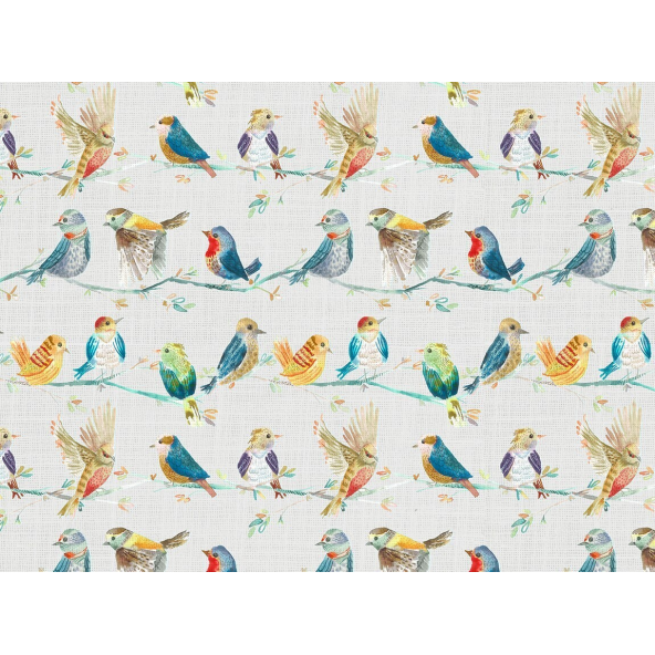 Image of Birdy branch sunshine by Voyage