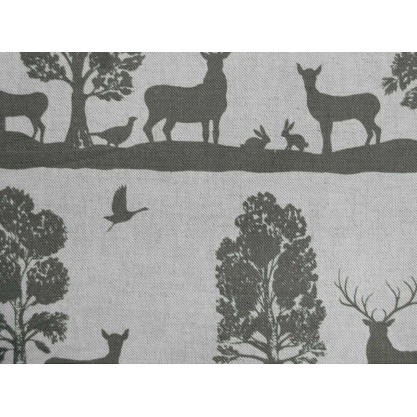 Image of Cairngorms birch by Voyage