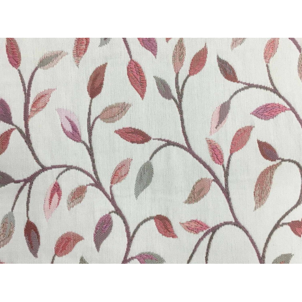 Image of Cervino melba by Voyage