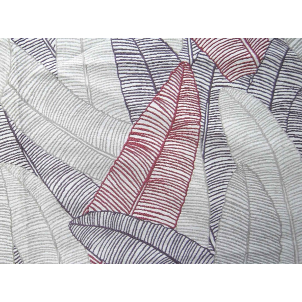 Image of daxby iris by Voyage