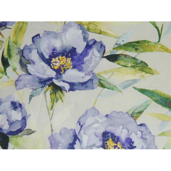 Image of earnley bluebell by Voyage