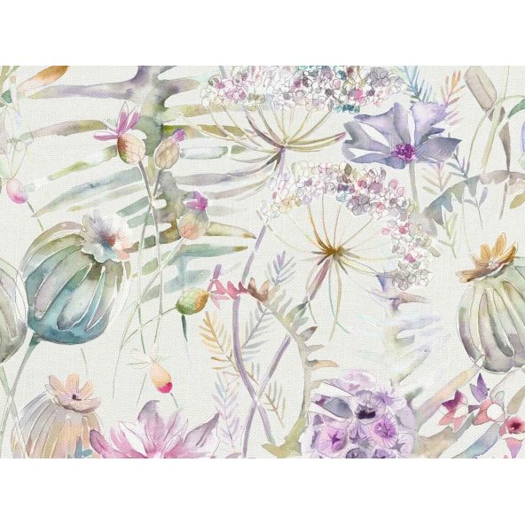 Image of edenmuir raspberry by Voyage