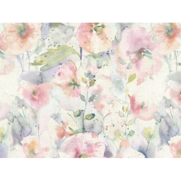 Image of Isabela coral by Voyage