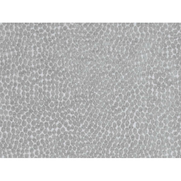 Image of pebble dove by Voyage